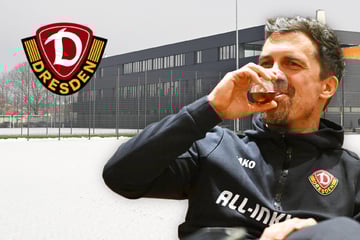 Öffentliches Training fällt aus! Frost bereitet Dynamo Probleme