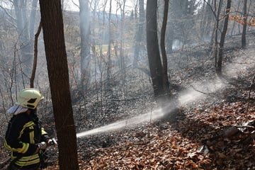 Feuerwehreinsatz im Erzgebirge: Wald brennt auf über 3000 Quadratmetern