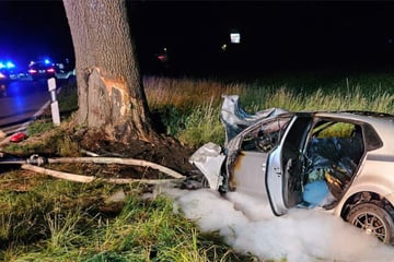 VW kracht gegen Baum und geht in Flammen auf: Polizei hat tragische Vermutung