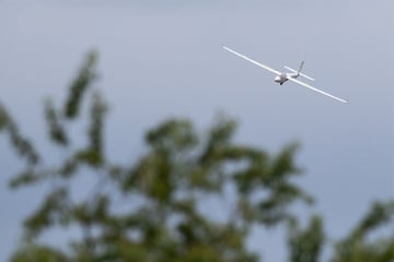 Notlandung in Heidelberg: Segelflieger geht über Biotop nieder