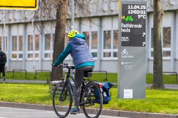 Dresden: Amtliche Steuergeld-Verschwendung in Sachsen: Kühns Fahrrad-Zähler sind zu teuer