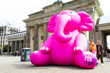 Berlin: Nanu, was macht denn dieser rosa Elefant vor dem Brandenburger Tor?