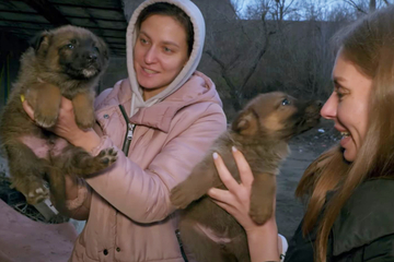 Frauen retten Welpen in Ukraine: Kurz darauf machen beide eine Entdeckung, die sie überrascht