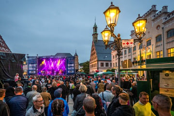 Wie steht es um das Stadtfest Zwickau?