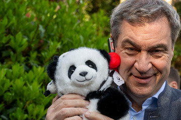 Bayern-MP kuschelt sich durch China: Söders irre Panda-Show