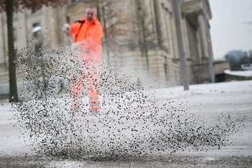 Berlin: Tauwetter in Berlin: Wohin verschwindet jetzt der ganze Streusplitt?