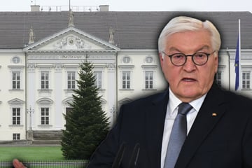 Bundespräsident verlässt Schloss Bellevue: Diese sächsische Stadt wird offiziell neuer Amtssitz