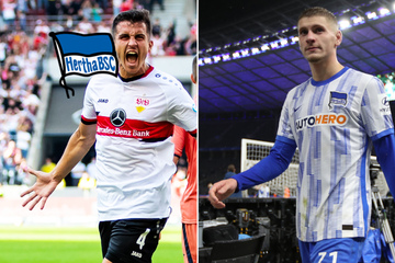 Wende bei Hertha: Dardai soll bleiben, was wird aus Demirovic und Kempf?