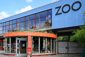 Dresdner Zoo erhöht die Preise: Diese Tickets sind betroffen