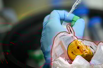 Krebsforschung für den Müll: Forscher machen spektakuläre Entdeckung