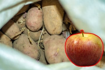 Mit diesem einfachen Trick kann man keimende Kartoffeln verhindern