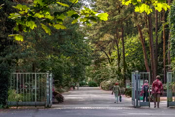 Dresden: Unheimliche Entdeckung auf Dresdner Friedhof: Mehr Verstorbene als angenommen