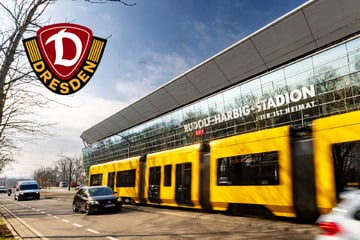 Dynamo-Dresden-Blog: So viel Kohle bringt die SGD der Stadt und Region ein