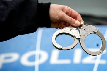 Das war ein Schuss in den Ofen! Einbrecher wollen Tresor klauen, Polizei spielt nicht mit