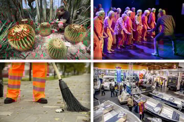 Diese tollen Events könnt Ihr am Sonntag in Magdeburg erleben