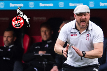 First title for 1. FC Köln: Steffen Baumgart on "coach of the year" chosen