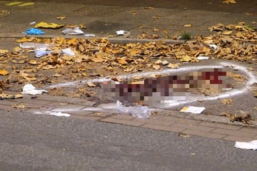 Große Menge Blut auf der Straße: Mann wird von Bus erfasst