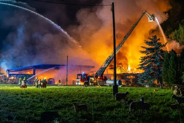 Großbrand auf Bauernhof im Erzgebirge: Scheune und Lager mit Fahrzeugen zerstört, mehrere Schweine verstorben