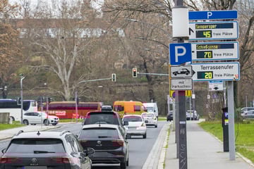 Dresden: Neuer Ärger für Autofahrer? Parkplätze am Terrassenufer sollen wegfallen