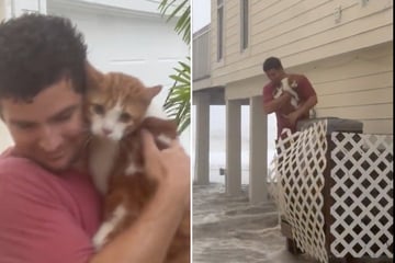 Florida man rescues frightened feline from Hurricane Ian's powerful surge