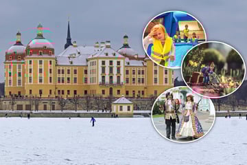 Dresden: Sechs Tipps für Euren Sonntag: Das ist heute in Dresden und Umgebung los