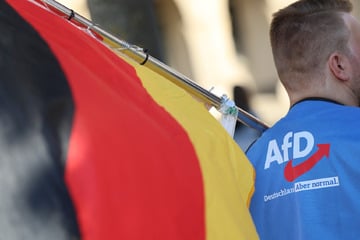 Sicherheit Deutschlands in Gefahr? Experten warnen vor AfD-Regierung