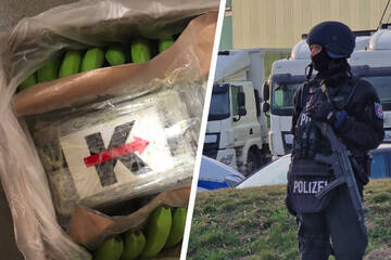 Mehr als eine Tonne Kokain: Neuer Rekord-Fund bei Obsthändler in Brandenburg