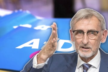 Sachsen legt Regeln für AfD-Beamte fest
