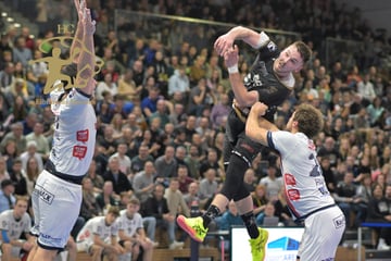 Daheim noch ungeschlagen! Hartes Brett für den HC Elbflorenz