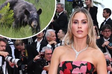 Schocknachricht von "Vampire Diaries"-Star: Schauspielerin von Bär verfolgt