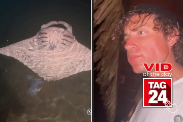 Viral Video of the Day for June 11, 2024: Man catches sea creature doing unbelievable flips!