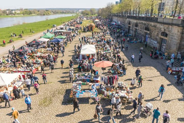 Dresden: Elbeflohmarkt rüstet auf: Diese Neuerung wartet auf alle Trödler!