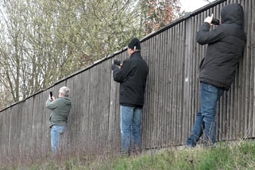 Gaffer stört Rettungseinsatz: Als Polizei ihn auffordert zu gehen, eskaliert die Situation