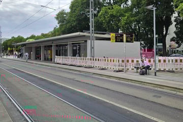 Haltestellen-Sanierung: Wilder Wein gegen Graffiti-Sprayer