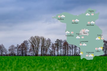 Berlin und Brandenburg: Mildes Wetter zur Wochenmitte