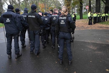 Polizisten durchkämmen Waldstück an deutsch-polnischer Grenze: Was ist da los?