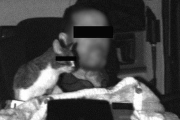 Katze geblitzt: Polizei findet mahnende Worte