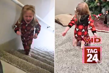 viral videos: Viral Video of the Day for December 4, 2025: Little girl has epic meltdown over Elf on the Shelf
