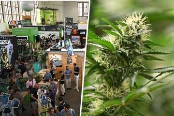 Dresden: U-Haft in Dresden statt "Mary Jane" in Berlin: Mann mit kiloweise Kiff-Kraut gestoppt