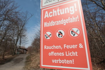 Trockenheit erhöht Waldbrandgefahr: Stufe 5 in Teilen Sachsens erwartet