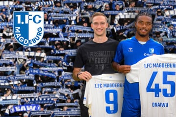 Doppelte Verstärkung: 1. FC Magdeburg verpflichtet zwei neue Stürmer