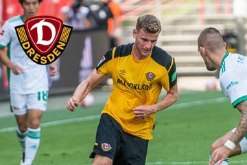 Kracher zur Dynamo-Saisoneröffnung: Dieser Bundesligist kommt nach Dresden