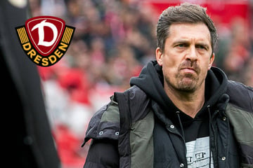 Dynamo wirkte in Cottbus nicht wirklich frisch! SGD-Coach Stamm: "Es hat sich träge angefühlt!"