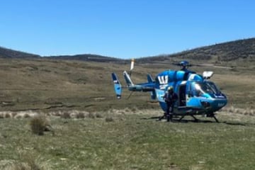 Happy End nach Suchaktion: Frau überlebte mit Schlangenbiss gut zwei Wochen in der Wildnis