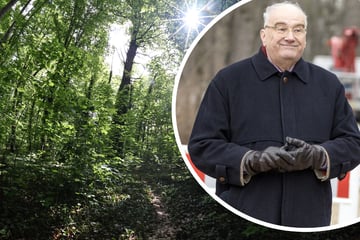 Dresden: Frau im Großen Garten erschlagen: Warum wurde der Todesfall verschwiegen?