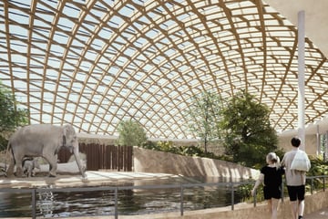 Mehr als 68 Millionen Euro: Zoo in Stuttgart setzt Spatenstich für "Elefantenwelt"