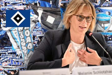 HSV-Blog: Hamburger Senat startet mit HSV Kampagne gegen häusliche Gewalt