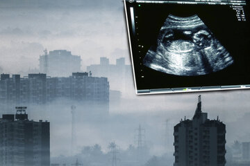 Pollution particles can reach babies in the womb, study shows