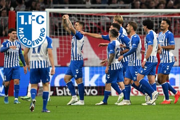 Liga-Alltag nach Highlight im Pokal: Elbestädter vor Duell mit Tabellenletzten