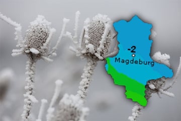 Schnee, Glätte und Sturmböen: Erneuter Wintereinbruch in Sachsen-Anhalt